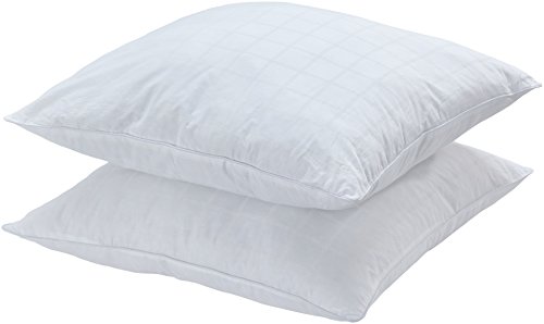 AmazonBasics MicroFibre Pillow