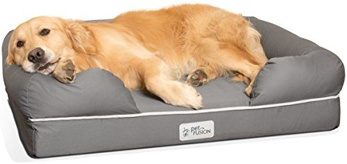 PetFusion Memory Foam Hundebett für mittlere und große Hunde, Grau